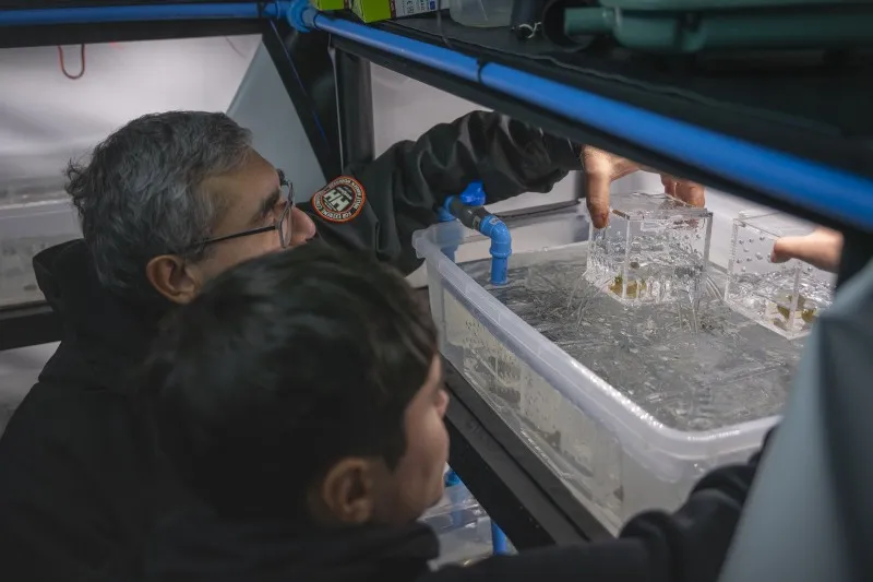 Researchers observe glass blocks submerged in a clear water tank as part of a lab experiment